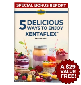 5 Delicious Ways to Enjoy XentaFlex
